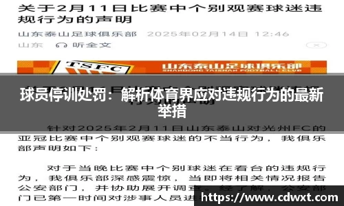 哈哈体育官方网站